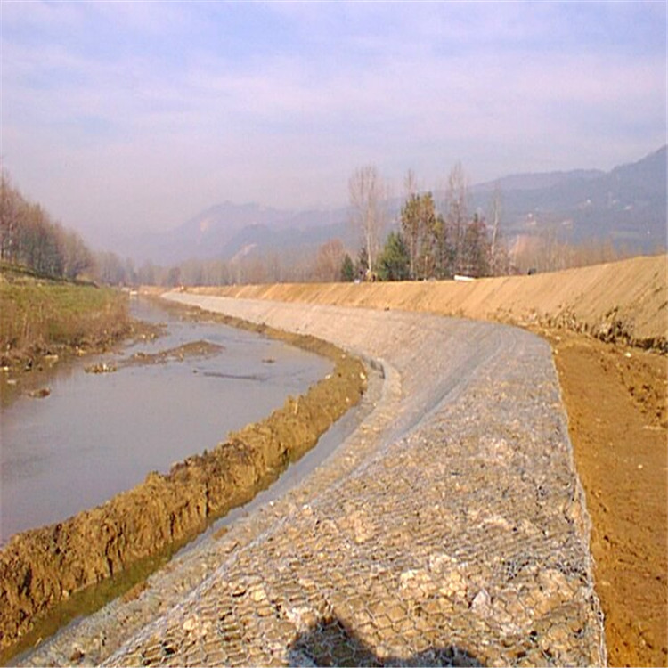 卓昌 (429).jpg