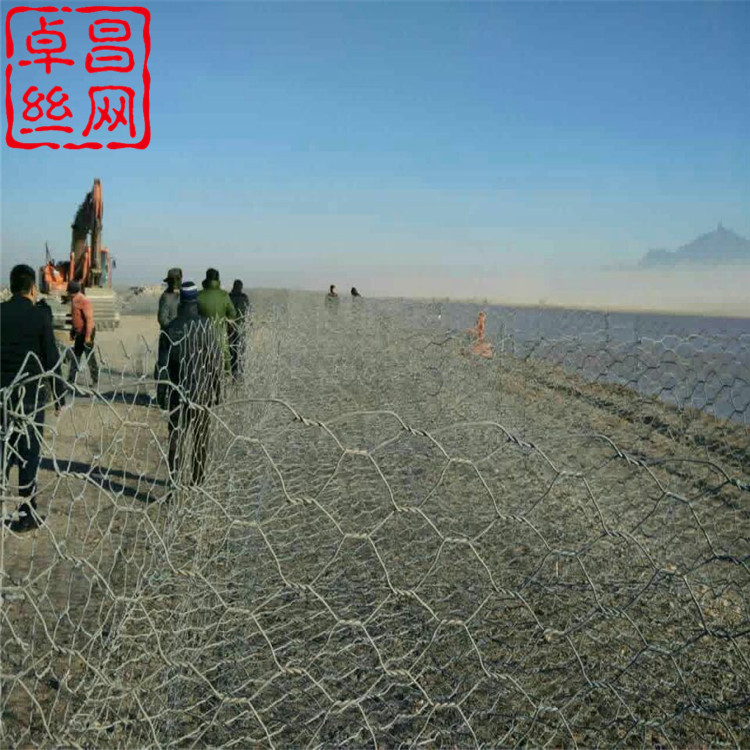 卓昌 (517).jpg